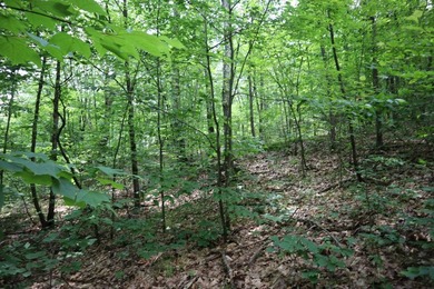 Just north of the farming town of Salem NY, just 500' from the - photo 40
