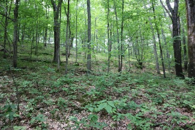 Just north of the farming town of Salem NY, just 500' from the - photo 42