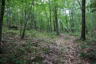Just north of the farming town of Salem NY, just 500' from the - photo 43
