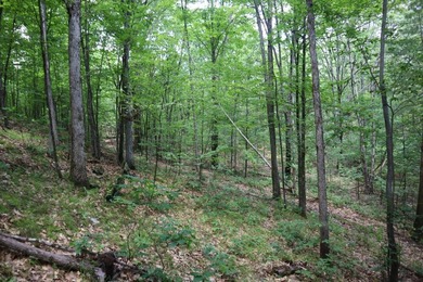 Just north of the farming town of Salem NY, just 500' from the - photo 44