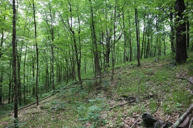 Just north of the farming town of Salem NY, just 500' from the - photo 45