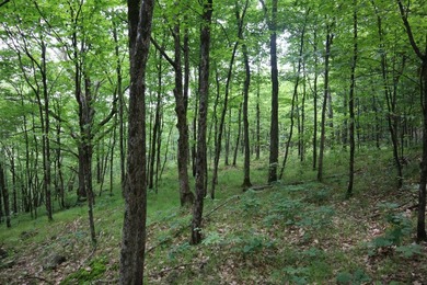 Just north of the farming town of Salem NY, just 500' from the - photo 46