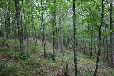 Just north of the farming town of Salem NY, just 500' from the - photo 47