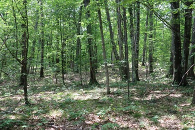 Just north of the farming town of Salem NY, just 500' from the - photo 48