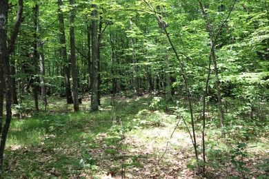 Just north of the farming town of Salem NY, just 500' from the - photo 49