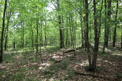 Just north of the farming town of Salem NY, just 500' from the - photo 50