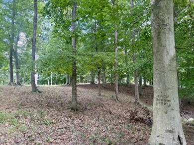 Pending! 2.27+/- Acres & Metal Building By Laurel Branch SOLD - photo 4