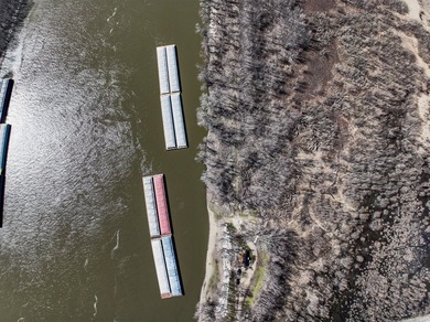 River Bank lot: 1 - photo 6