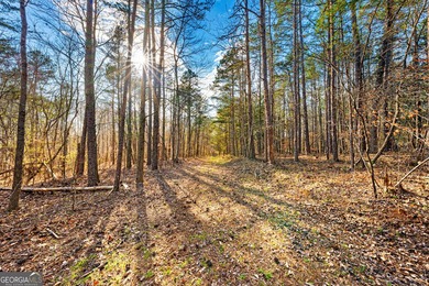 Discover the perfect blend of privacy and possibility with this - photo 11