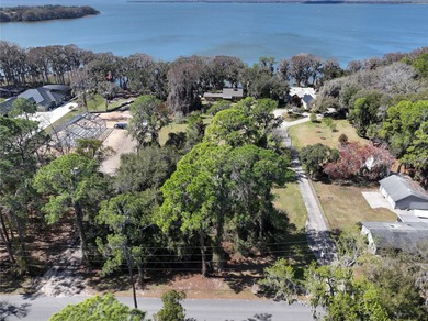 Land for Sale on Lake Harris -- the largest lake in the Chain of - photo 12