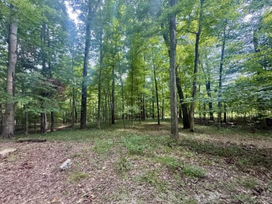 Pending! 2.27+/- Acres & Metal Building By Laurel Branch SOLD - photo 13