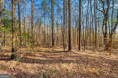 Discover the perfect blend of privacy and possibility with this - photo 13