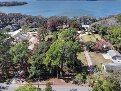 Land for Sale on Lake Harris -- the largest lake in the Chain of - photo 13