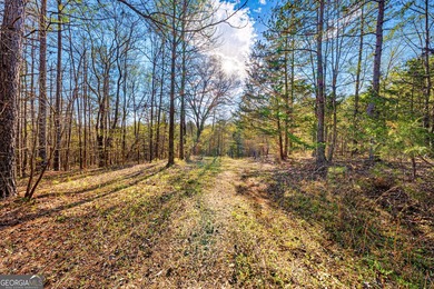 Discover the perfect blend of privacy and possibility with this - photo 14