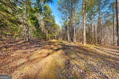 Discover the perfect blend of privacy and possibility with this - photo 15