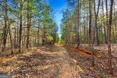 Discover the perfect blend of privacy and possibility with this - photo 16