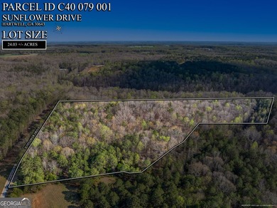 Discover the perfect blend of privacy and possibility with this - photo 17