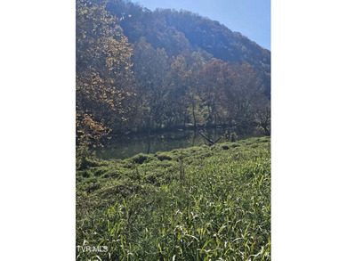 (private lake, pond, creek) Acreage For Sale in Duffield Virginia