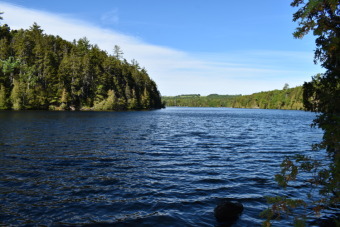Grand Lake Acreage For Sale in Weston Maine