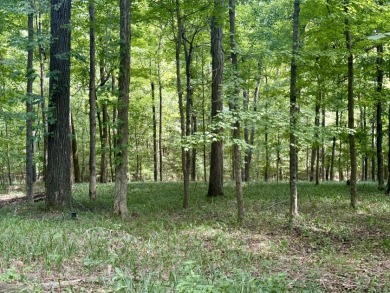 Pending! 2.27+/- Acres & Metal Building By Laurel Branch SOLD - photo 7