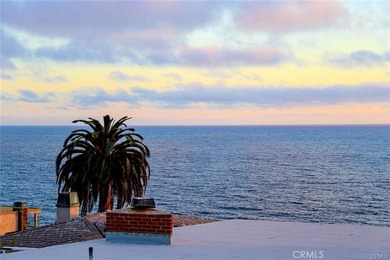 Panoramic Catalina Island views from this turn-key, SINGLE-LEVEL - photo 9