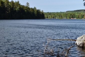 Grand Lake Acreage For Sale in Weston Maine