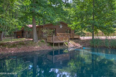 (private lake, pond, coastal) Home For Sale in Murphy North Carolina