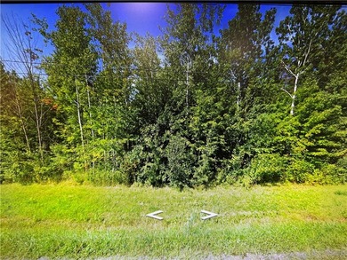 Build Your Dream & Own the View! Rare 36.72-Acre Dual-Parcel - photo 1