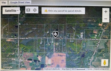 Build Your Dream & Own the View! Rare 36.72-Acre Dual-Parcel - photo 4