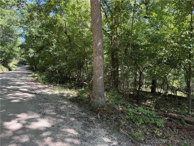 Lake Acreage For Sale in Camdenton, Missouri