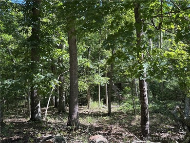 3 Acres - Build Your Dream Home in Camdenton, MO! Nestled in the - photo 3