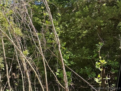 3 Acres - Build Your Dream Home in Camdenton, MO! Nestled in the - photo 6