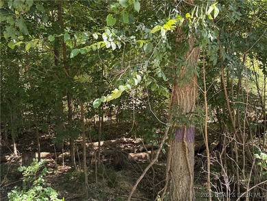 3 Acres - Build Your Dream Home in Camdenton, MO! Nestled in the - photo 8