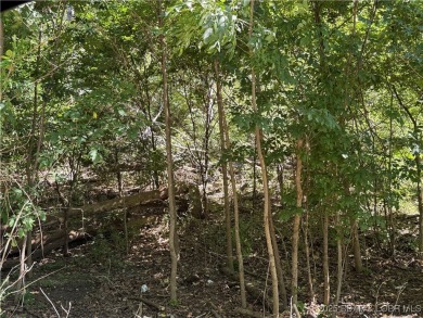 Lake Acreage For Sale in Camdenton, Missouri