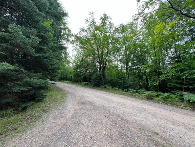 If you're looking for a vacant waterfront lot as far north as - photo 11