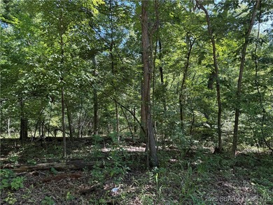 3 Acres - Build Your Dream Home in Camdenton, MO! Nestled in the - photo 2