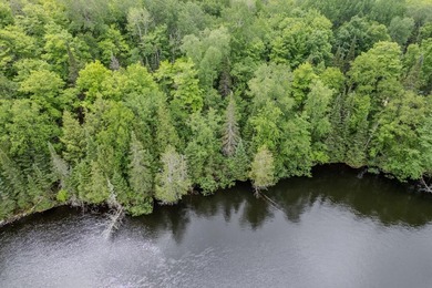 If you're looking for a vacant waterfront lot as far north as - photo 12