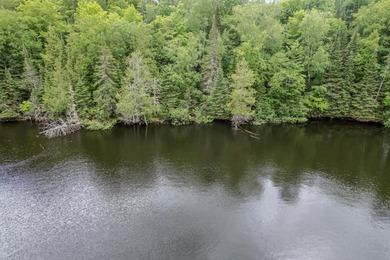 If you're looking for a vacant waterfront lot as far north as - photo 13