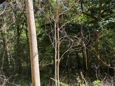 3 Acres - Build Your Dream Home in Camdenton, MO! Nestled in the - photo 4