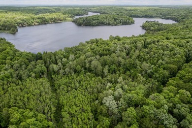 If you're looking for a vacant waterfront lot as far north as - photo 14