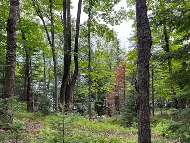 If you're looking for a vacant waterfront lot as far north as - photo 16
