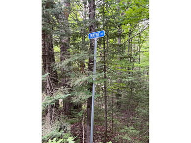 If you're looking for a vacant waterfront lot as far north as - photo 17