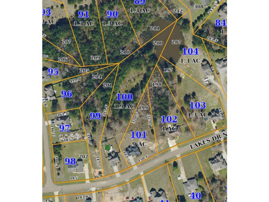 Tucked into The Lakes subdivision on 1.9 acres that includes - photo 32