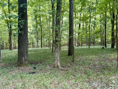 Pending! 2.27+/- Acres & Metal Building By Laurel Branch SOLD - photo 6