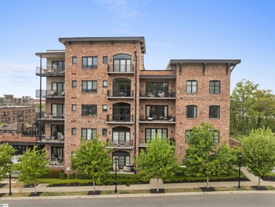 Downtown Greenville, Elevated.  Set within the sought-after