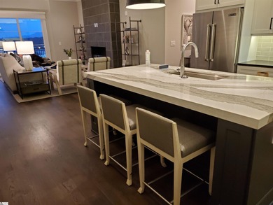 Downtown Greenville, Elevated.  Set within the sought-after