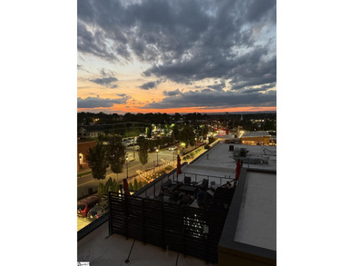 Downtown Greenville, Elevated.  Set within the sought-after
