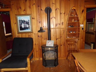 Delightful, charming and inviting 2-bedroom knotty pine seasonal - photo 11