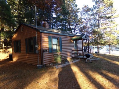 Delightful, charming and inviting 2-bedroom knotty pine seasonal - photo 15