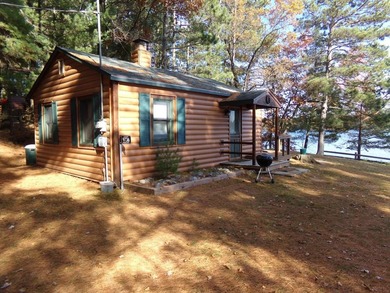 Delightful, charming and inviting 2-bedroom knotty pine seasonal - photo 16